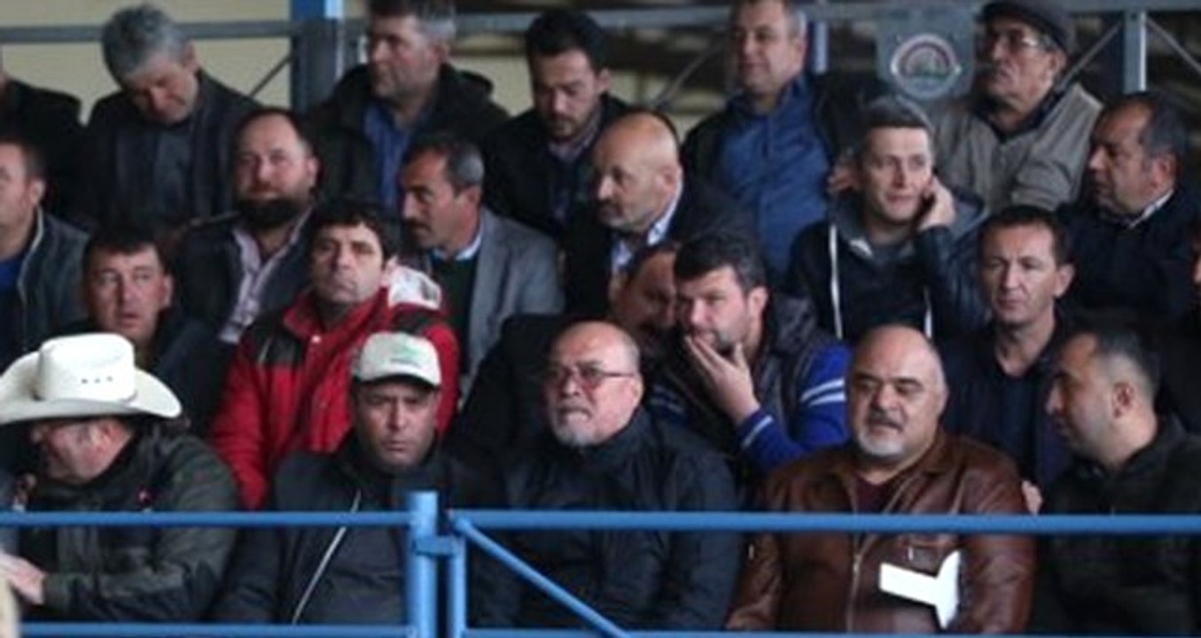 Açık Artırma Usulüyle Satışa Çıkarılan Damızlık Koçların En Değerlisi 21 Bin Liraya Satıldı