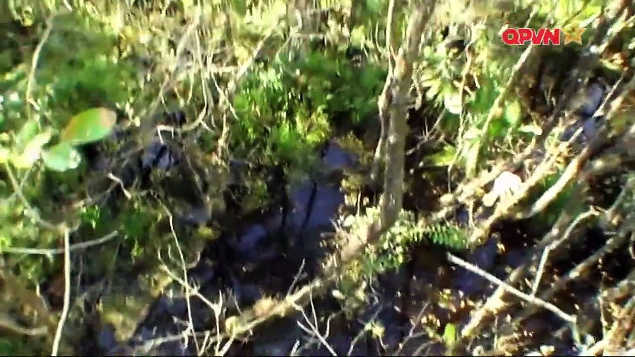 Chống chọi với thiên nhiên - Kỹ năng sinh tồn - Phần 10 - Everglade Florida