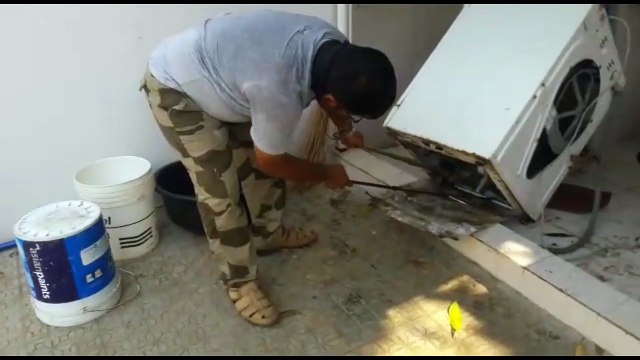 'Taking laundry for a sssspin?' Rescued snake found hiding in washing machine in India