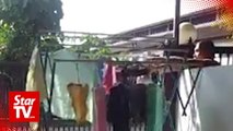 Panties stealer in Penang reprimanded for his act