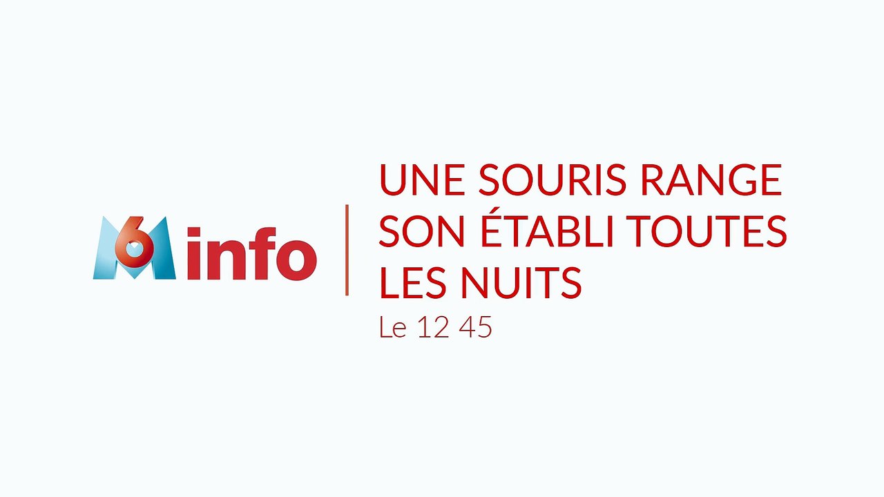 VIDÉO - Une souris range son établi toutes les nuits