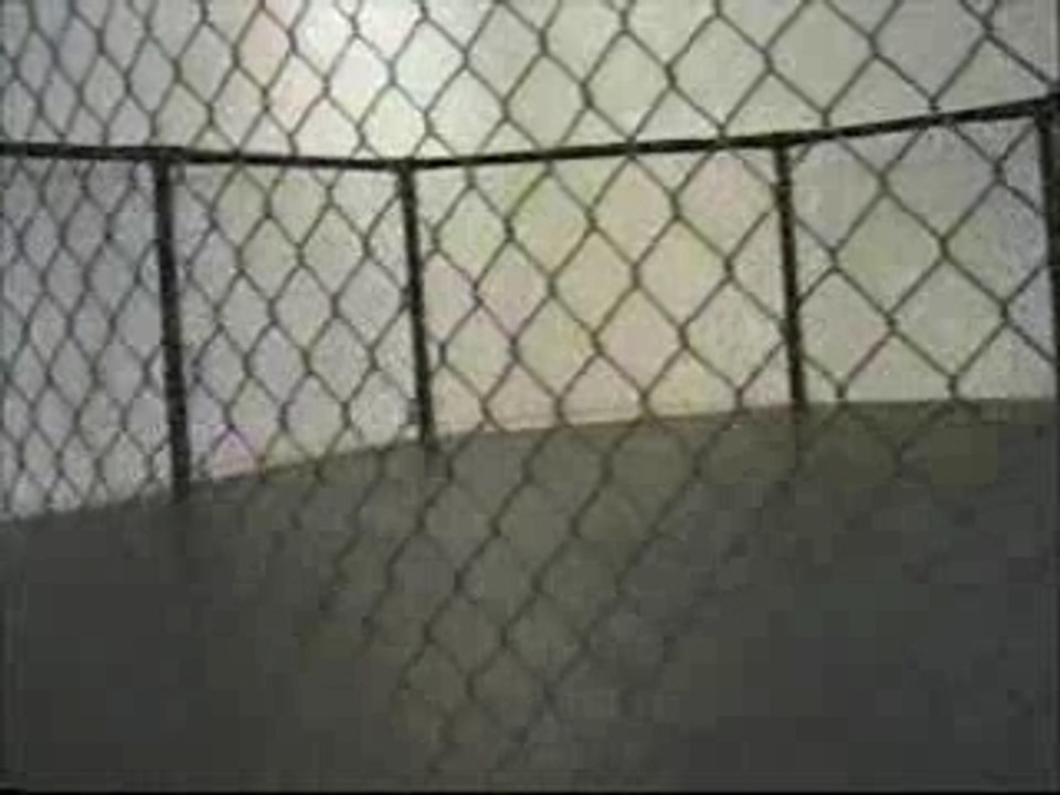 The Torch