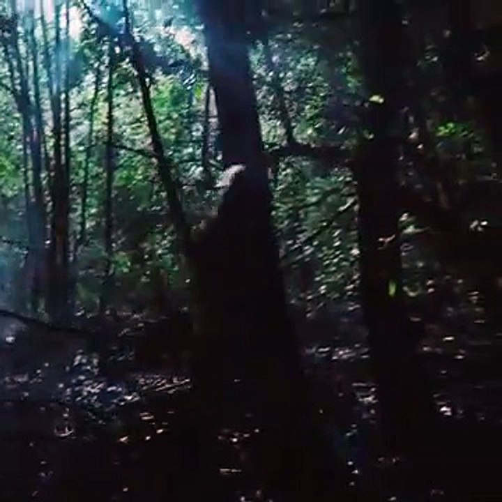 American Horror Story Season 9 Teaser (2019) AHS 1984