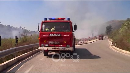 RTV Ora - Digjen pemë frutore në Lushnje, flakët jashtë kontrollit