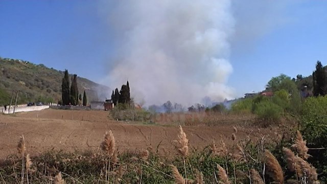 Report TV - Zjarr në Lushnje, digjet bimësia e egër dhe rrezikohen disa banesa