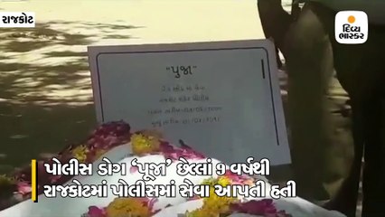 રાજકોટઃ સૈનિકની જેમ પોલીસ ડોગ 'પૂજા'ને ગાર્ડ ઓફ ઓનર સાથે ગુજરાત પોલીસે અંતિમ વિદાય આપી