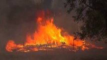 167 zjarre gjatë marsit, Çako: Të gjithë të qëllimshëm - News, Lajme - Vizion Plus
