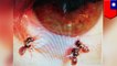 Doctor finds live 'sweat bees' in Taiwanese woman's eye