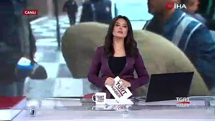 Ankara'da Köpekleri Zehirleyenler Serbest Kaldı
