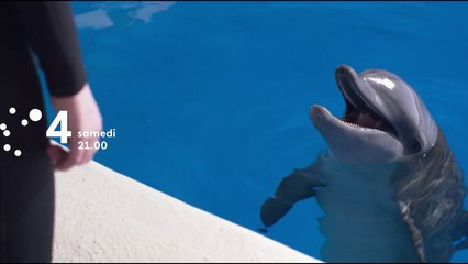 La fabuleuse histoire de Bernie le dauphin - Bande annonce