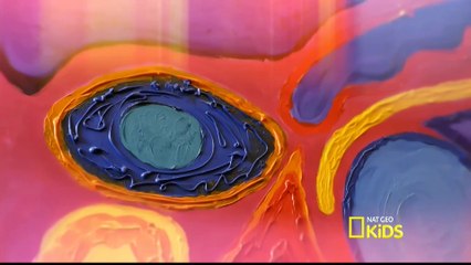 Dudu Polito Dublando: Pablo - Gato Assustado