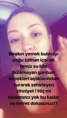 Ece Seçkin’den köpeklerin zehirlenmesine tepki