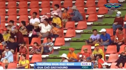 CÁC NHÂN VẬT HOẠT HÌNH TRỞ THÀNH TUYỂN THỦ ĐÁNG YÊU  , ĐUA CHÓ CHUYÊN NGHIỆP  p 12