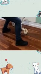 Baby,baby ,one more time.