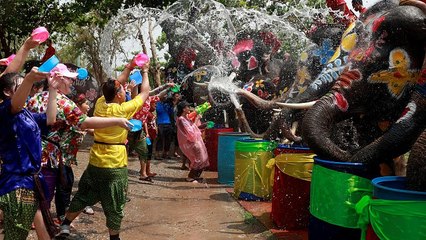 Tayland yeni yıla rengarenk fil ve insanların su savaşıyla girdi