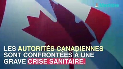 Crise des opiacés : 10 300 décès au canada depuis 2016