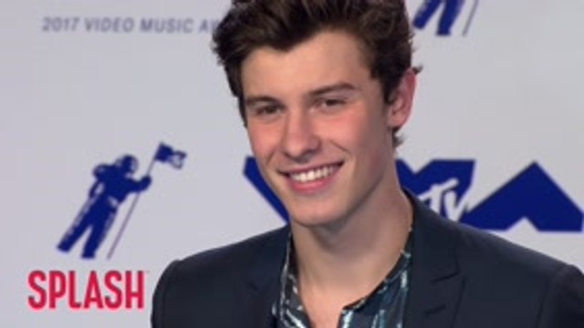 Shawn Mendes Has British Roast Dinner Every Sunday