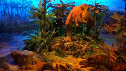 Kuala Lumpur Discovery Center