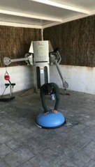 Brahim se machaca en el gimnasio para estar listo para Zidane