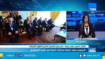 نائب رئيس المجلس المصري للشؤون الإفريقية: هناك تعاون وثيق بين مصر والكوت ديفوار في المجال الأمني