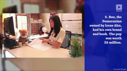 6 of the Richest Pets of All Time (National Pet Day)