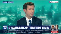 François Xavier Bellamy (LR): 
