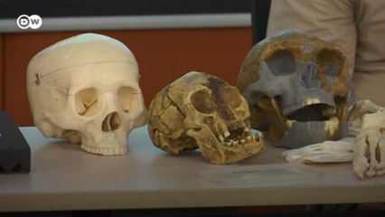 Filipinlerde yeni bir insan türü keşfedildi