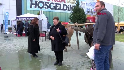 Kocaeli 650 Kiloluk Cağ Kebabı ile Rekor Kırdılar