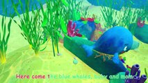 Mom and Baby Blue Whale Lullaby | Best Compilation Nursery Rhymes & Kids Songs