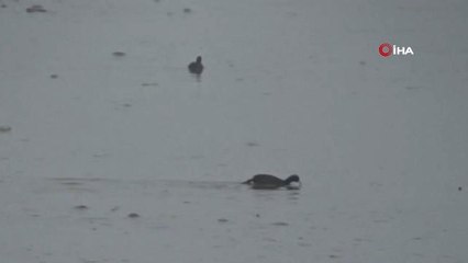 Nehil Çayı'nda Su Seviyesinin Yükselmesi Köylüleri Korkutuyor