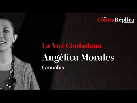 ¿Cuáles son los beneficios de legalizar la #marihuana?
