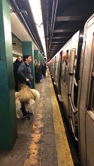 Subway Conductor Won't Let Man Board with Dog