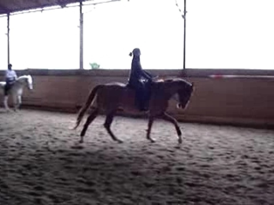 Galop