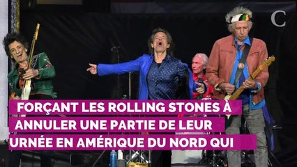 PHOTO. Mick Jagger donne de ses nouvelles lors d'une "balade dans le parc"