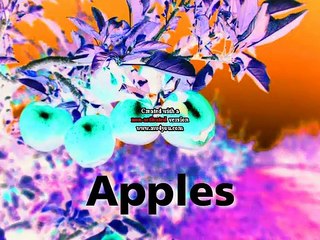 Baby MacDonald in G Major [Part 2]