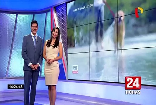 Animales afortunados: mascotas reciben jugosas herencias cuando sus amos dejan este mundo