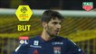 But Martin TERRIER (41ème) / FC Nantes - Olympique Lyonnais - (2-1) - (FCN-OL) / 2018-19