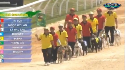 TA TỐN  vs LÝ MẠC SẦU  , ĐUA CHÓ CHUYÊN NGHIỆP  p 13