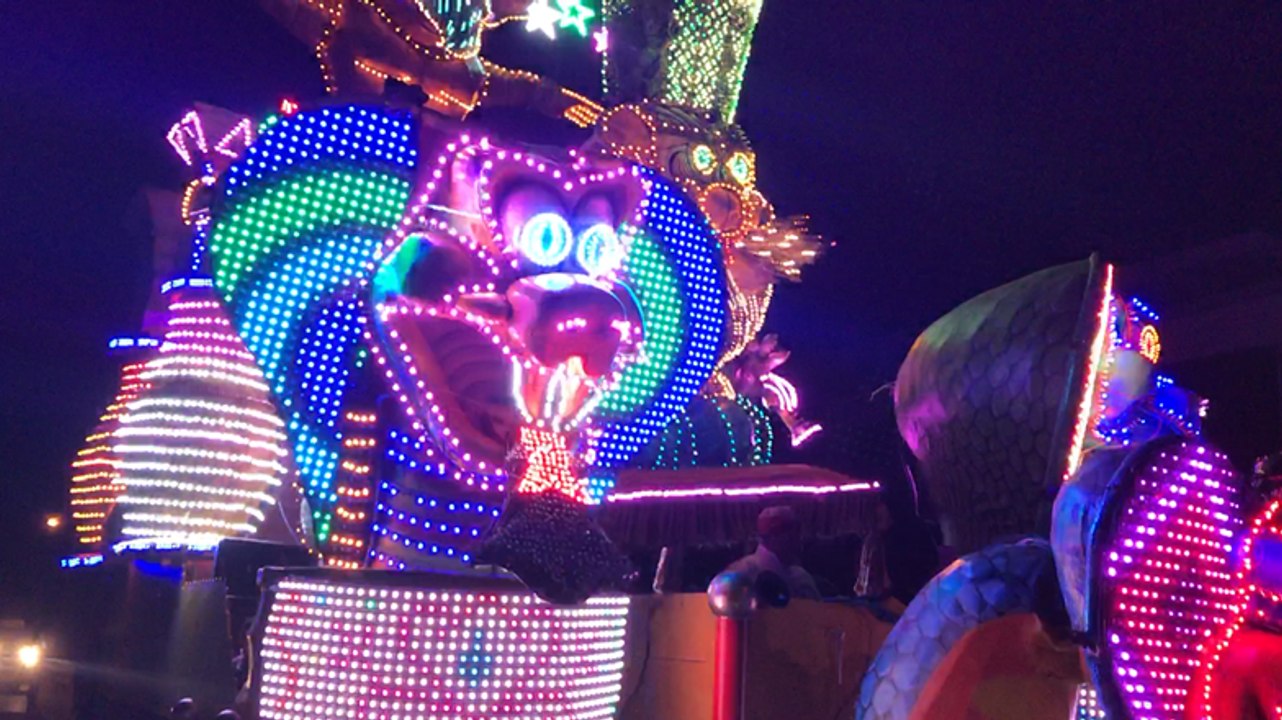 Fanfares et chars ont défilé au carnaval nocturne