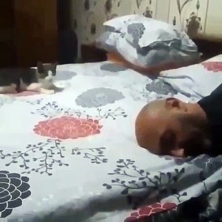 和猫一起玩，他疯了！