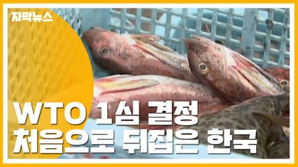 [자막뉴스] WTO 1심 결정 처음으로 뒤집은 한국 / YTN