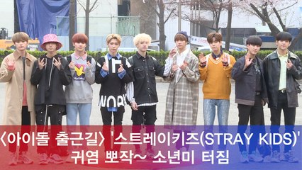 스트레이키즈(STRAY KIDS), 귀염 뽀작~ 소년미 터짐