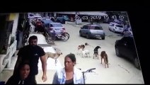 Câmera flagra homem arremessando cachorro de ponte em Ibatiba