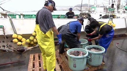 [취재N팩트] 日 역전패 당혹... "후쿠시마 수산물 해제 계속 요구" / YTN
