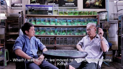 Perspective EP.13 : ธีรศักดิ์ สุพินพง - ผู้เพาะพันธุ์ปลากัดสีทองคนเเรกของโลก [13 เม.ย 62]