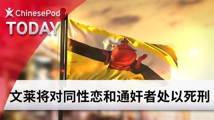 ChinesePod Today: Brunei to Implement Capital Punishment for Gay Sex and Adultery (simp. characters)