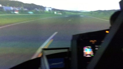 737 passenger aircraft simulation flight fusion projection large screen