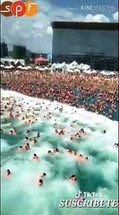 The best viral videos of the day -  incredible and the most viewed - amazing videos
