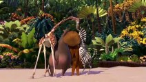Madagascar (2005) Trailer #1 _ Movieclips Classic Trailers