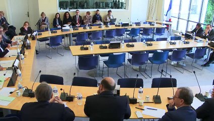 Commission des affaires européennes : Mme Amélie de Montchalin, secrétaire d’État auprès du ministre de l'Europe et des Affaires étrangères - Jeudi 11 avril 2019